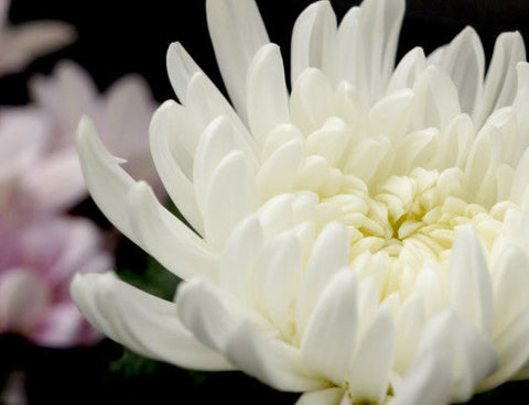 法事:一周忌の流れ