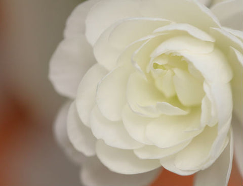 葬儀のご案内で押さえておきたいポイントは?